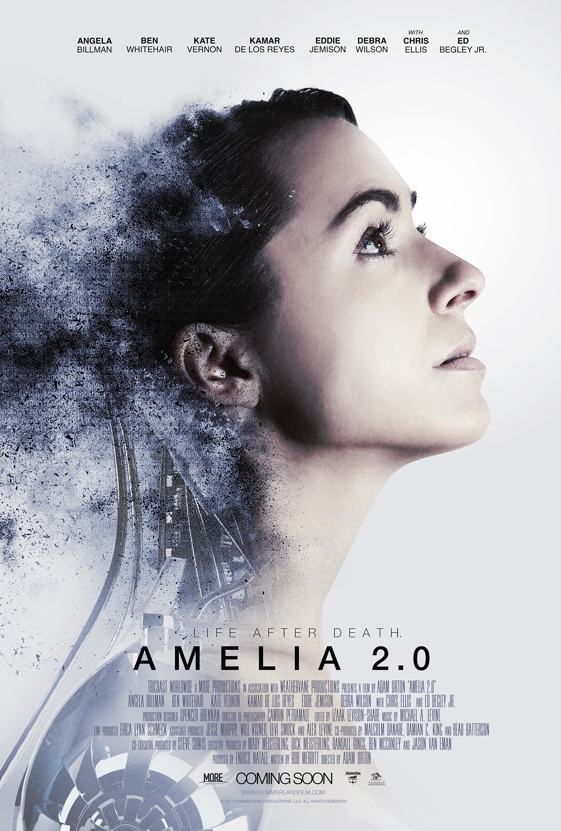 Amelia 2.0 Cover